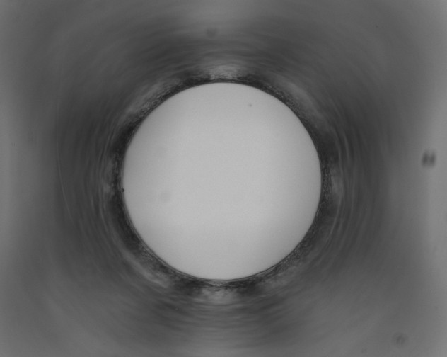 X0000092320311200710121528