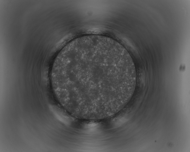 X0000092320312200710121528