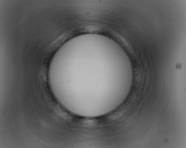 X0000092320313200710121527