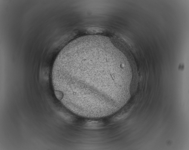 X0000092320315200710121527