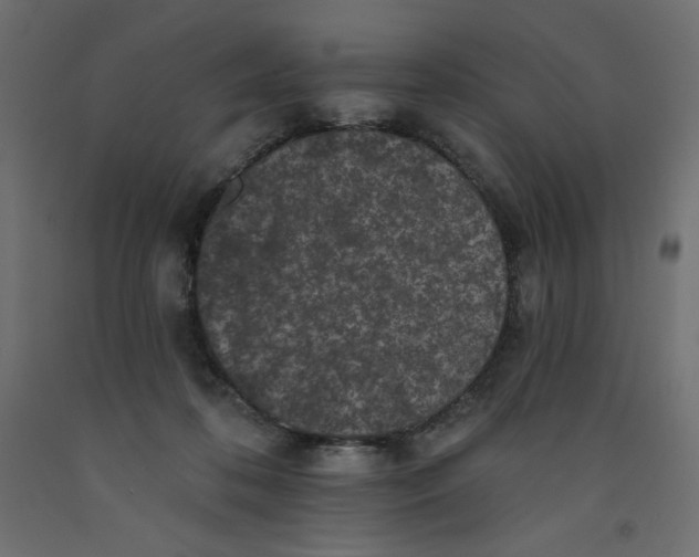 X0000092320316200710121527