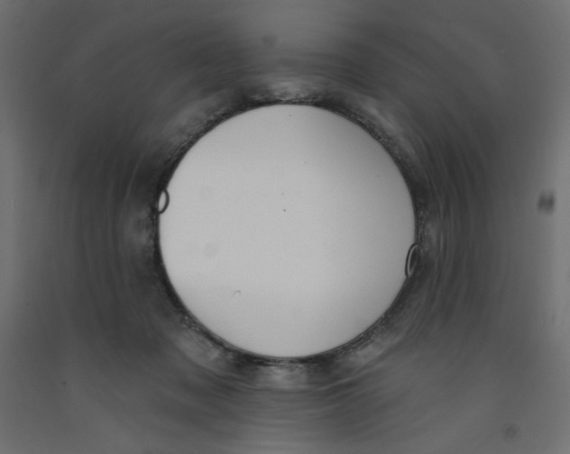 X0000092320317200710121527