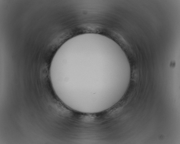 X0000092320318200710121527