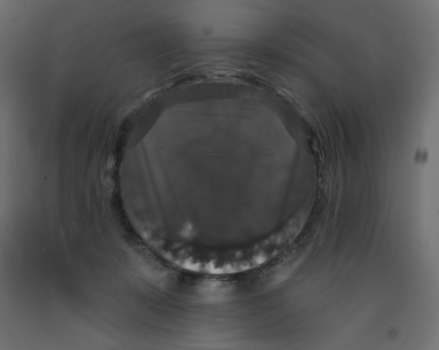 X0000092320319200710121527