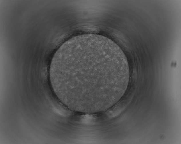 X0000092320320200710121527
