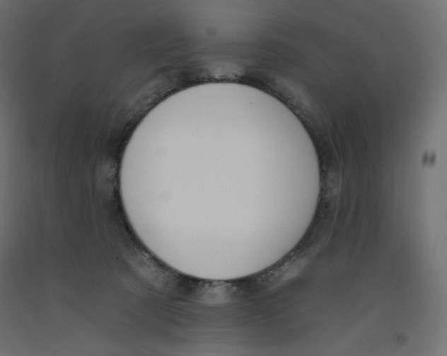 X0000092320321200710121527
