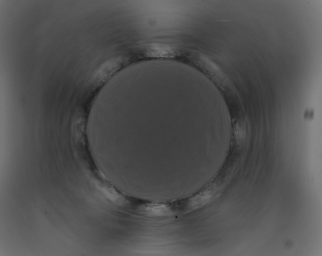 X0000092320322200710121527