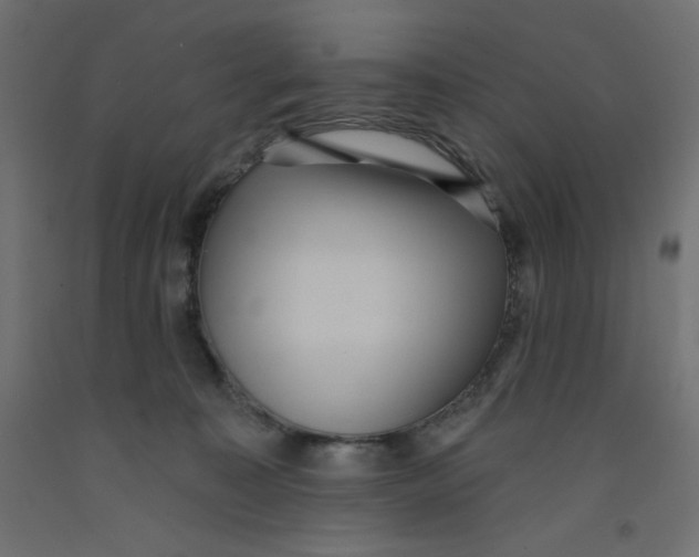 X0000092320323200710121527