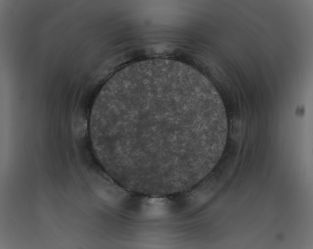 X0000092320324200710121527
