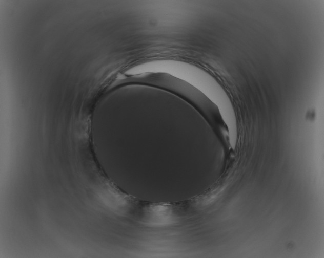 X0000092320325200710121527