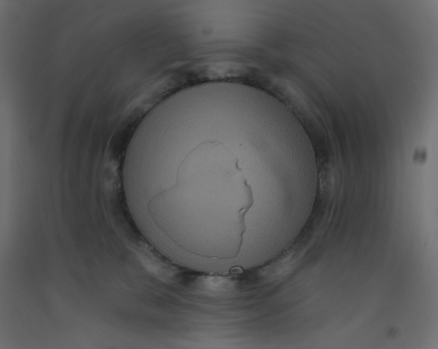 X0000092320327200710121527