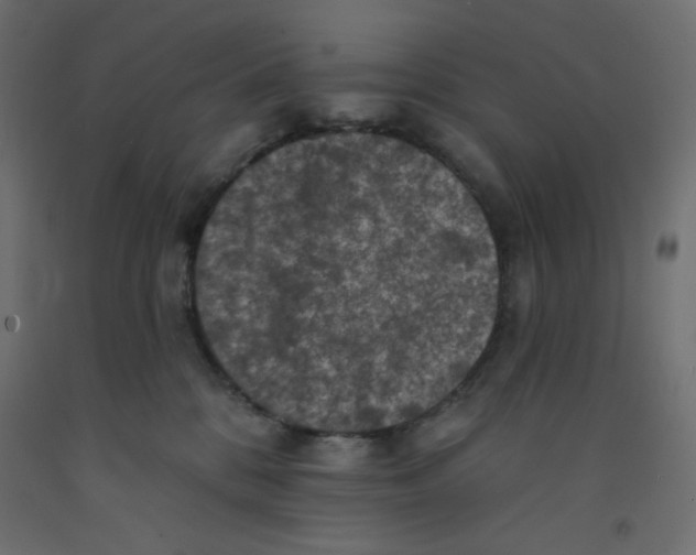 X0000092320328200710121527