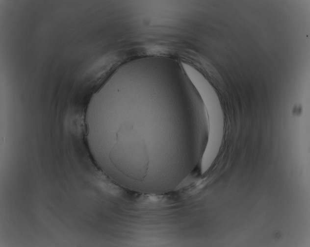 X0000092320329200710121527