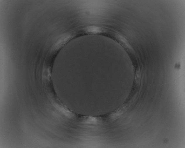 X0000092320330200710121527