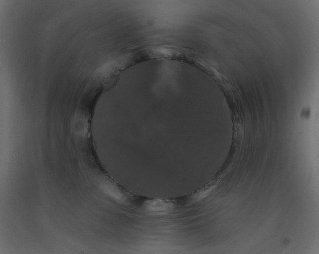X0000092320331200710121527