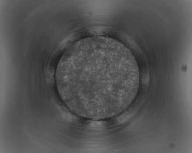 X0000092320332200710121527