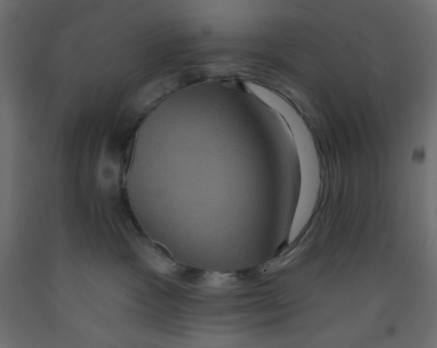 X0000092320333200710121527