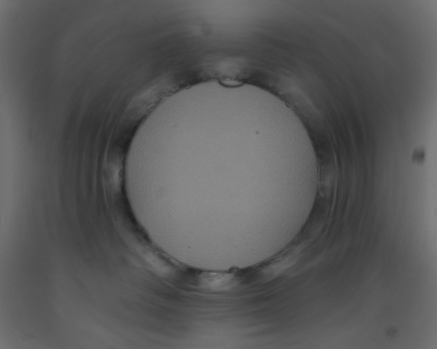 X0000092320334200710121527