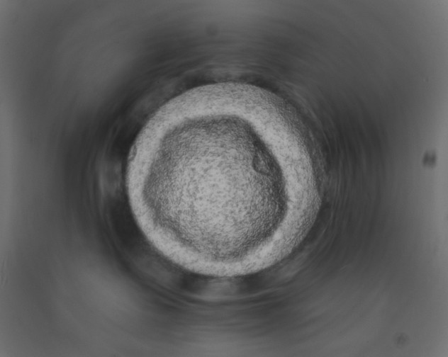 X0000092320335200710121527