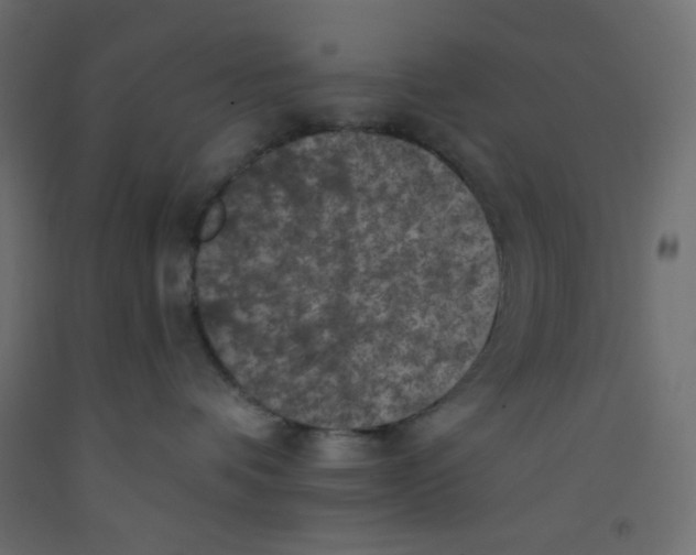 X0000092320336200710121527