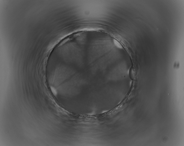 X0000092320337200710121527