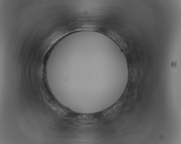 X0000092320338200710121527