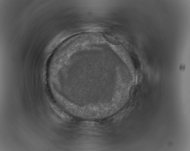 X0000092320339200710121527
