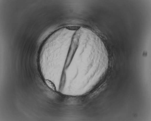 X0000092320341200710121527