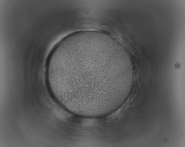 X0000092320342200710121527