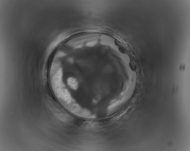 X0000092320343200710121527
