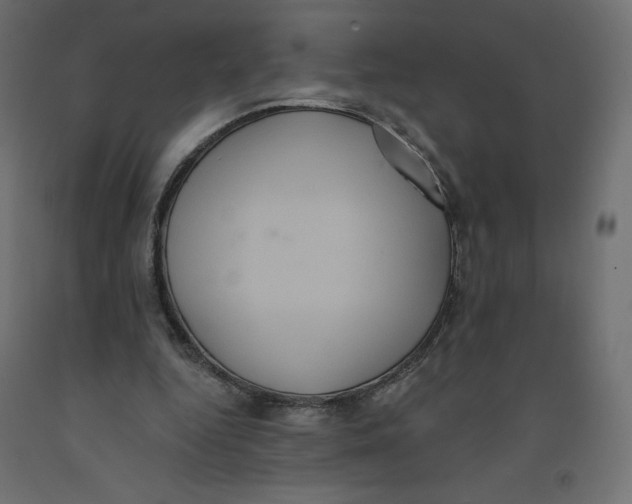X0000092320344200710121527