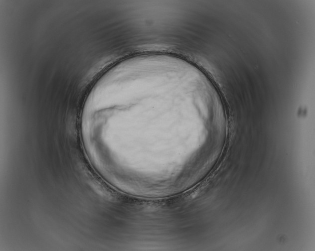 X0000092320345200710121527