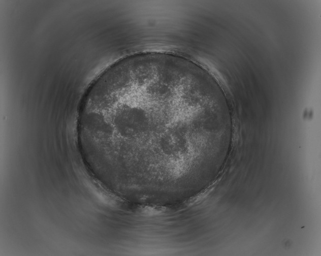 X0000092320346200710121527