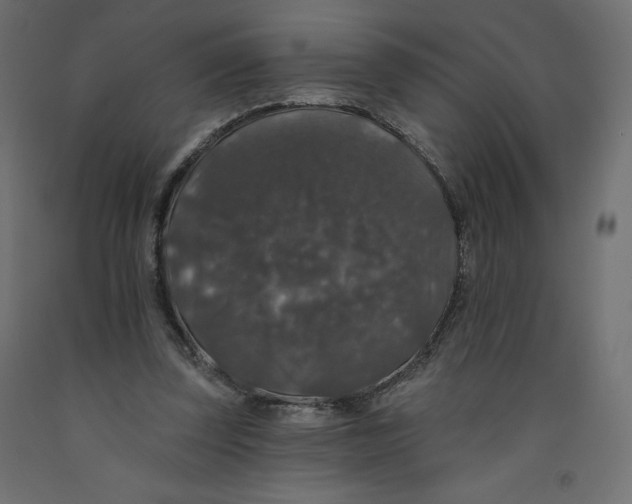 X0000092320347200710121527