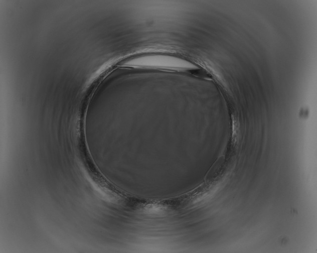 X0000092320348200710121527