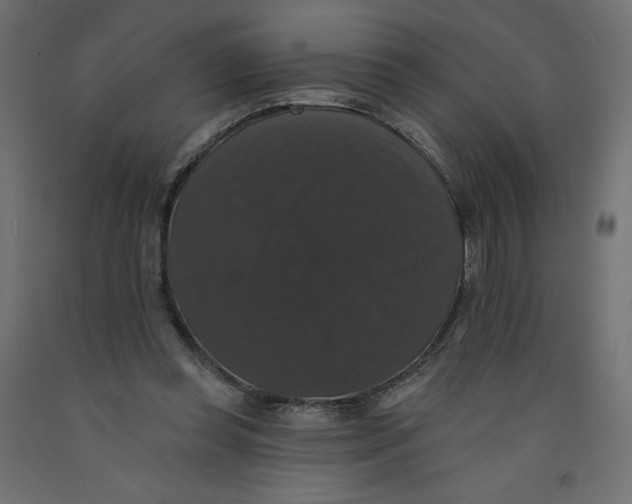 X0000092320349200710121527
