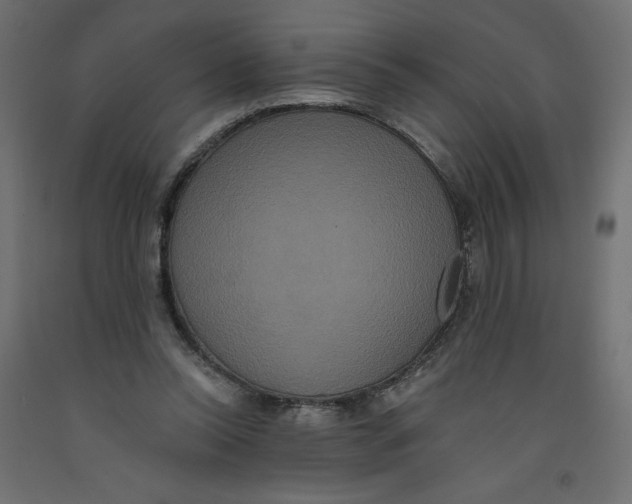 X0000092320350200710121527