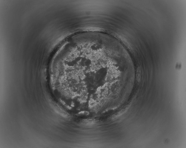 X0000092320351200710121527