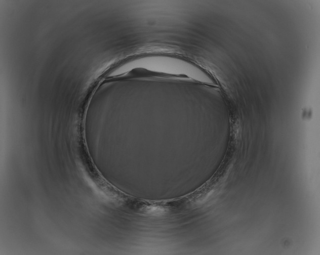 X0000092320352200710121527