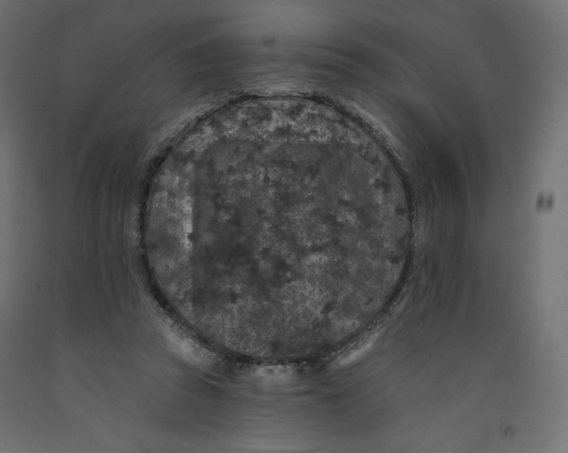 X0000092320353200710121527