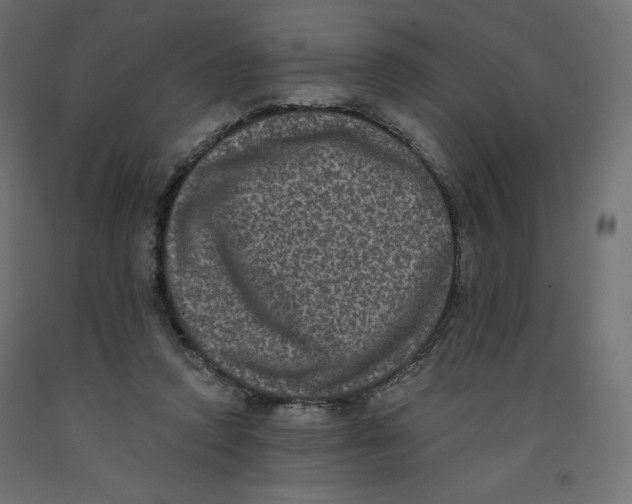 X0000092320354200710121527