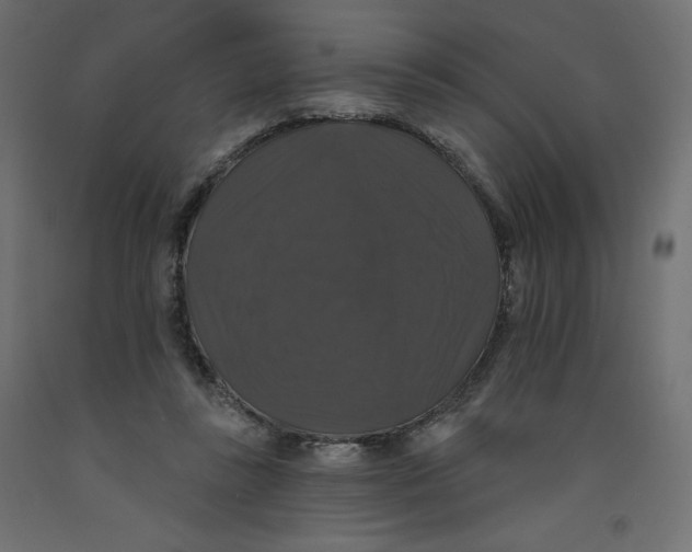 X0000092320355200710121527
