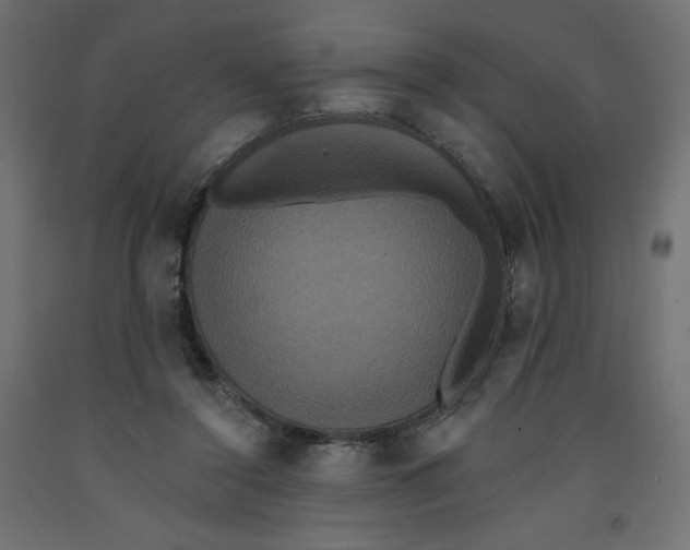 X0000092320356200710121527