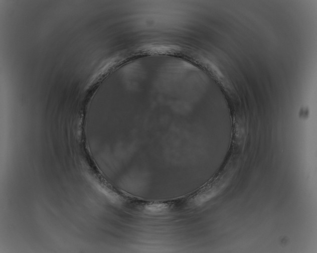 X0000092320357200710121527