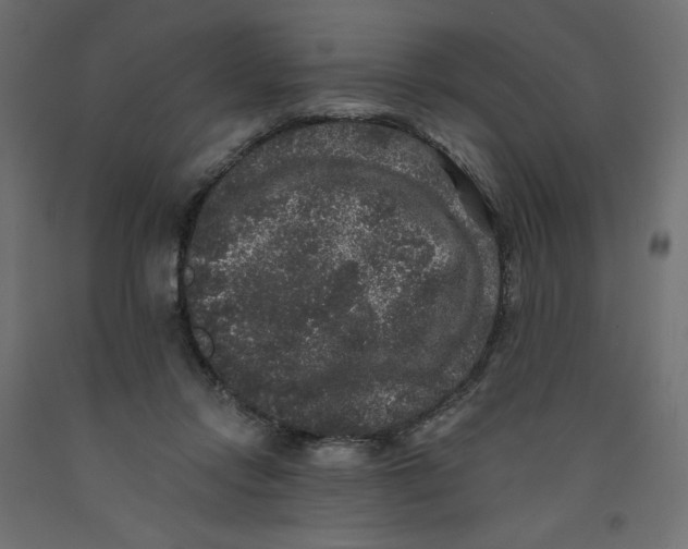 X0000092320358200710121527
