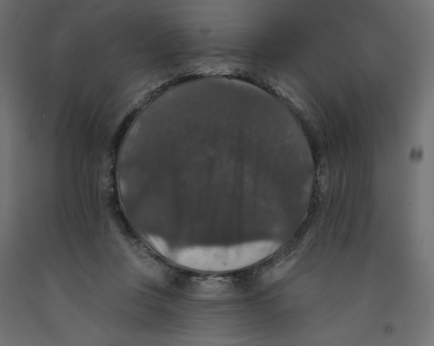 X0000092320359200710121527
