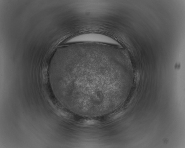 X0000092320360200710121527