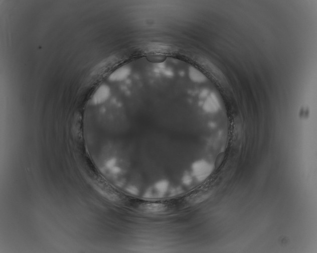 X0000092320361200710121527