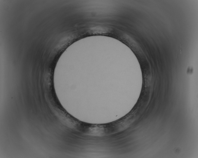 X0000092320362200710121527