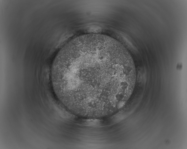 X0000092320363200710121527